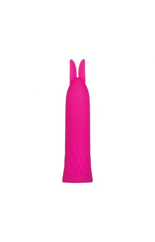 Evolved Bullet Buddy USB Rechargeable Bullet - Bullet Vibrators
