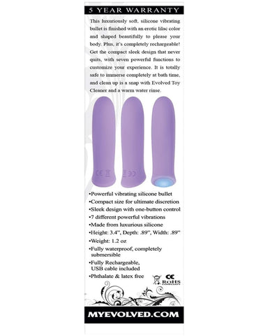 Purple Haze Rechargeable Bullet by Evolved - Bullet Vibrators