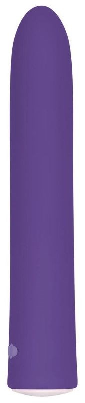 Evolved Rechargeable Slim Bullet - - Bullet Vibrators