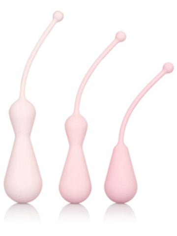 Inspire Weighted Silicone Kegel Training Kit by CalExotics - Love Eggs and Kegel Exercisers
