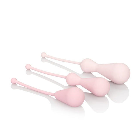 Inspire Weighted Silicone Kegel Training Kit by CalExotics - Love Eggs and Kegel Exercisers