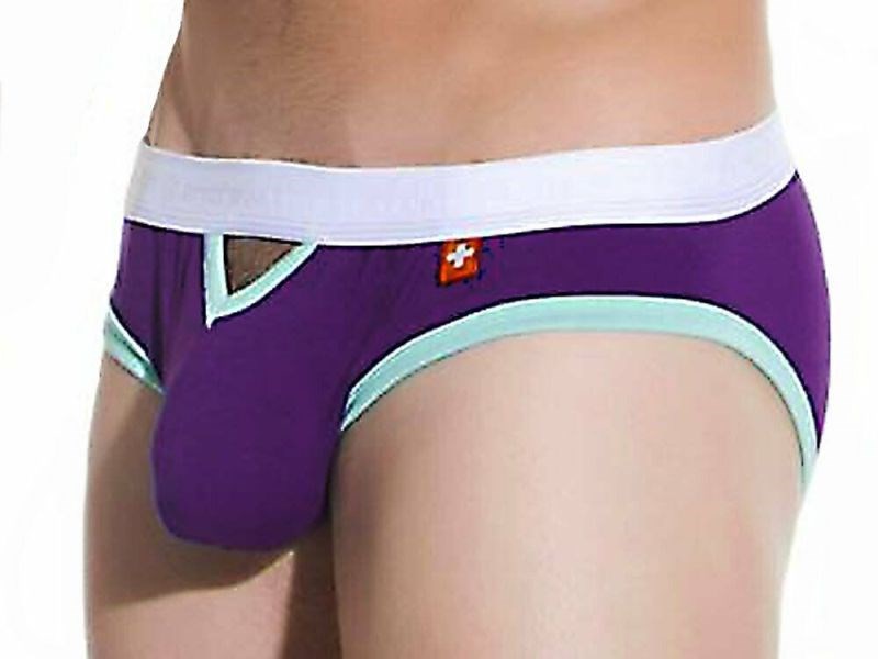 Limited Edition Teaser Brief Purple - - Mens Briefs And Boxers