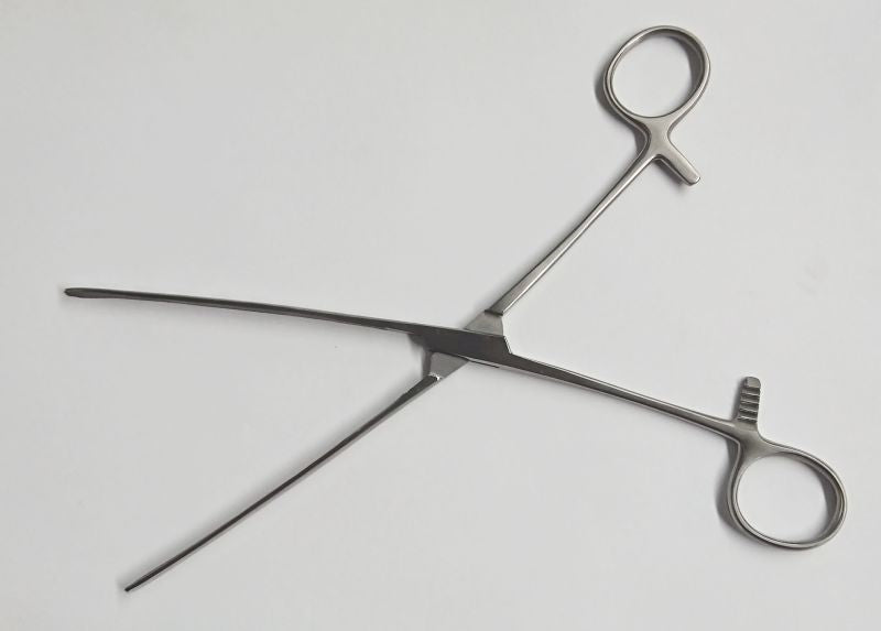 Medical Steel Forceps - - Dental and Clinical