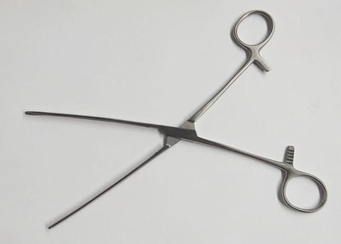 Medical Steel Forceps Stainless Steel by Hell's Couture - Dental and Clinical