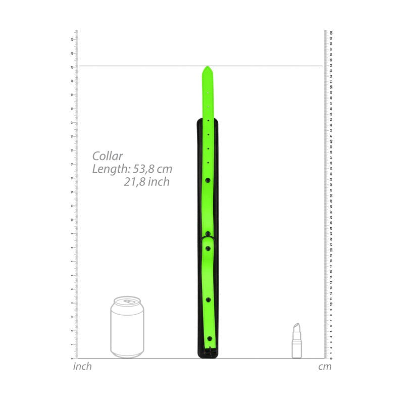 OUCH! Glow in Dark Collar and Leash - - Collars And Cuffs