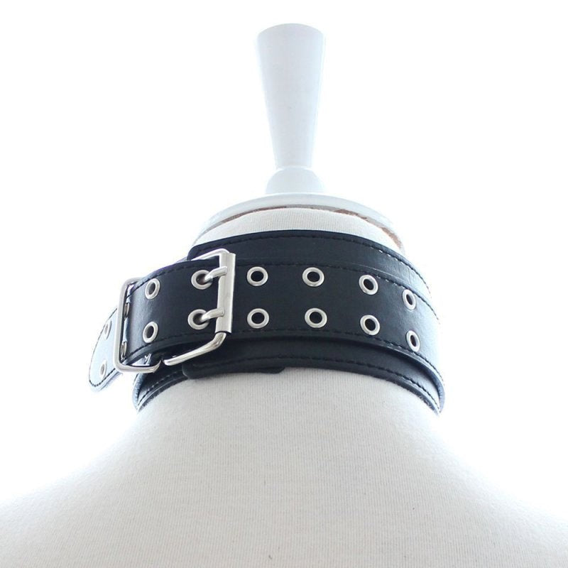 Pins Buckle Collar With D-Ring - - Collars And Cuffs