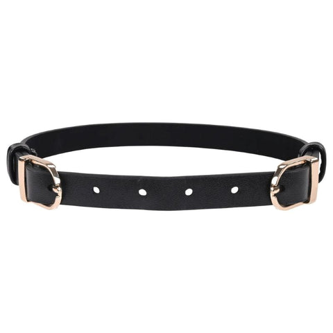 Sex and Mischief Double Buckle Day Collar by Sportsheets - Collars and Leads
