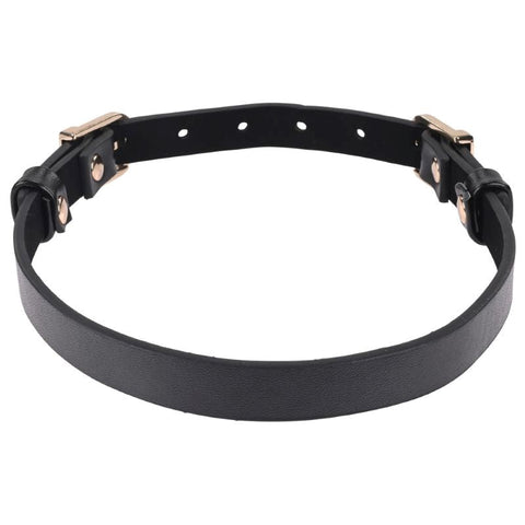 Sex and Mischief Double Buckle Day Collar by Sportsheets - Collars and Leads