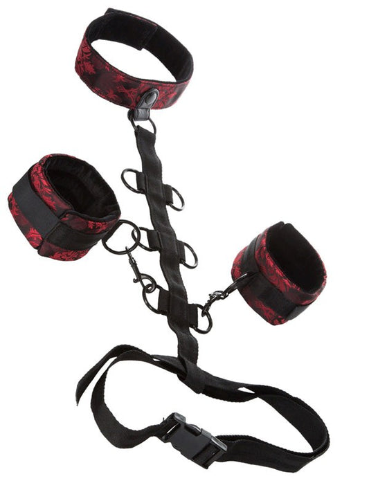 Scandal Collar Body Restraint - - Collars And Cuffs