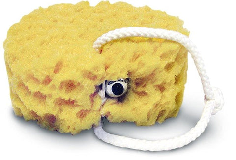 Vibrating Foam Sea Sponge by Sportsheets - Vibrator Accessories