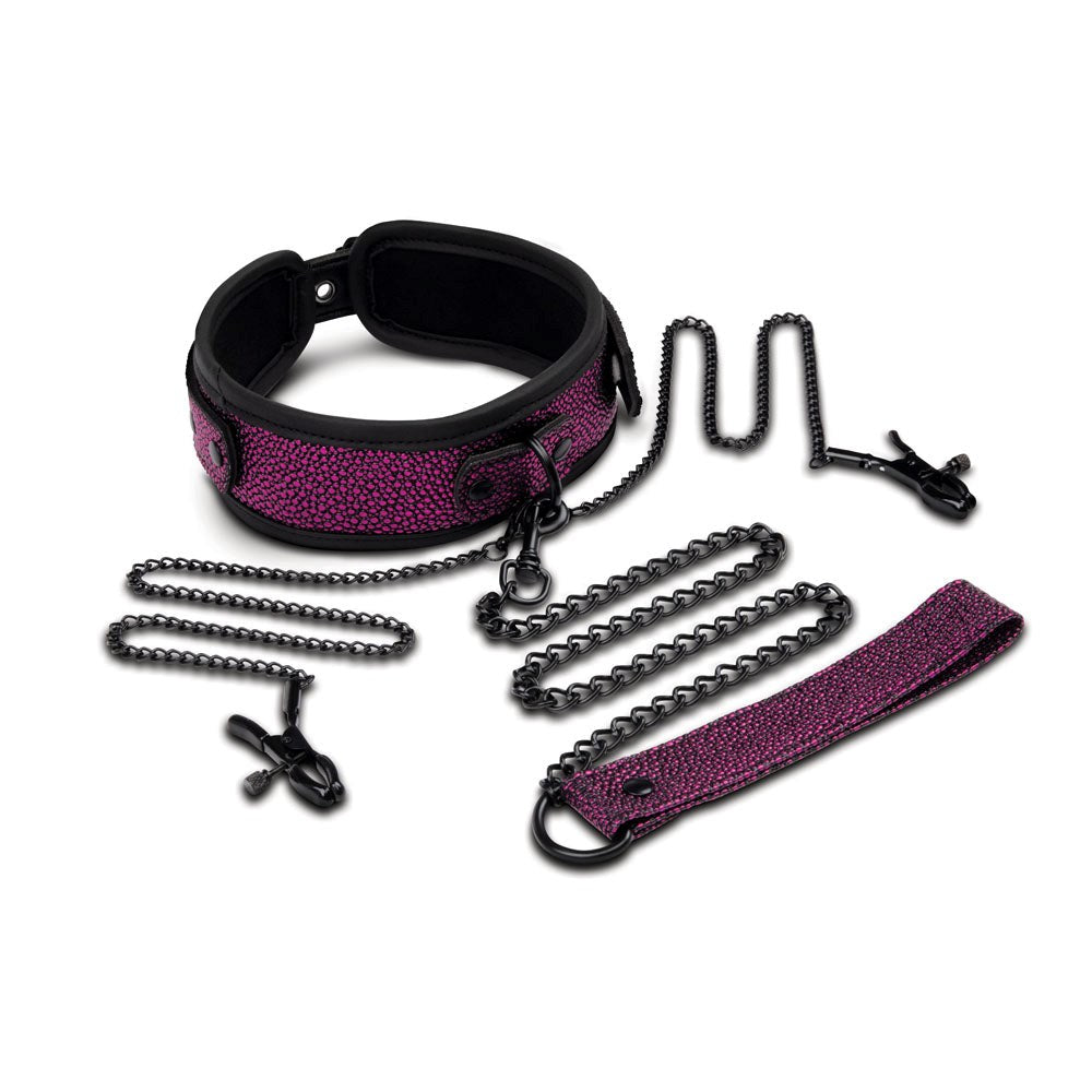 WhipSmart Dragons Lair Collar Leash & Nipple Clips - - Breast and Nipple Toys