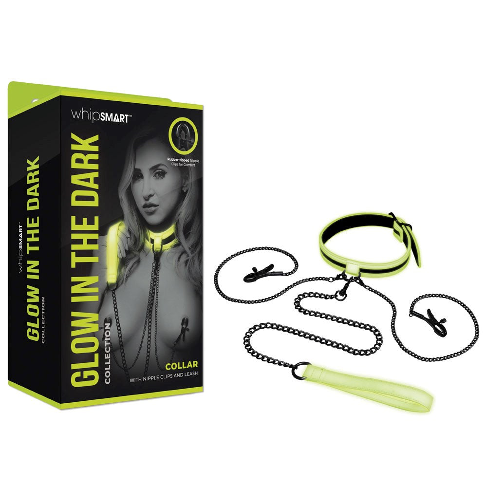 WhipSmart Glow In Dark Collar, Clips + Leash - - Collars And Cuffs