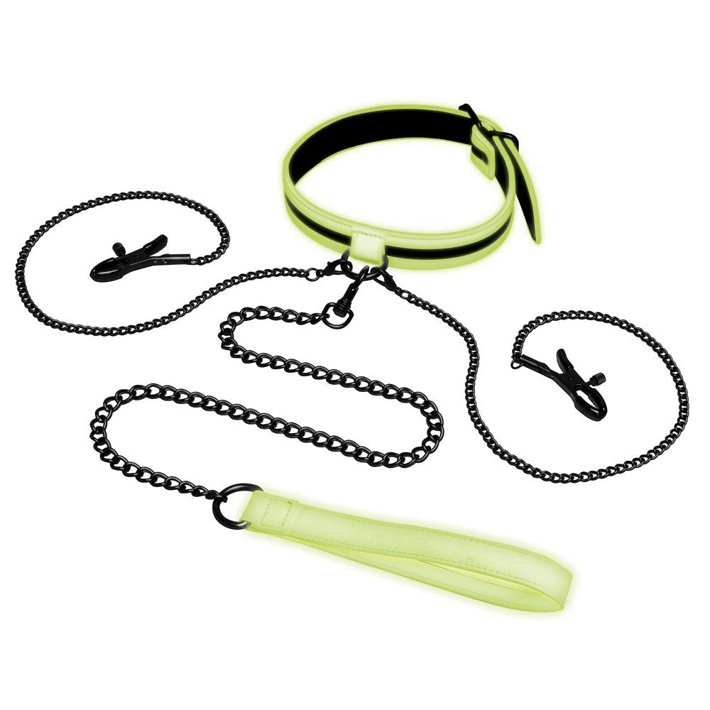 WhipSmart Glow In Dark Collar, Clips + Leash - - Collars And Cuffs