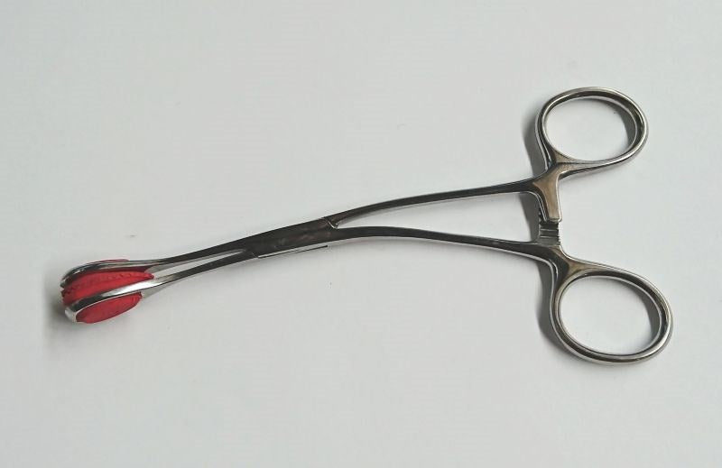 Young Tongue forceps with Curved Handle 17cm - - Dental and Clinical