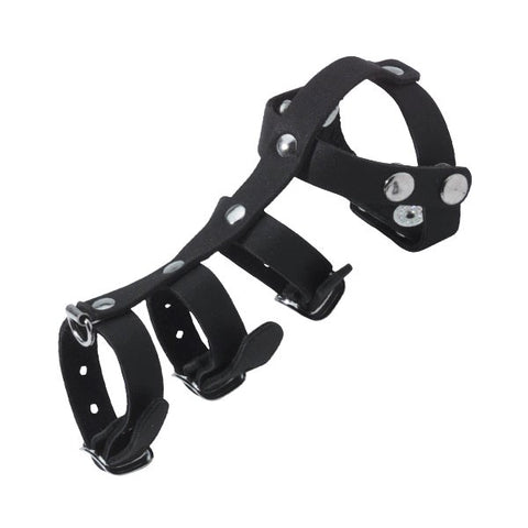 Leather Vertebrate by Spartacus Enterprises - Ball and Cock Toys