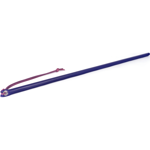 Spartacus Premium Leather Wrapped Discipline Cane - Whips And Crops