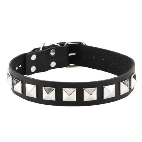 Studded Single Strap D-Ring Control Collar by Spartacus - Collars and Leads