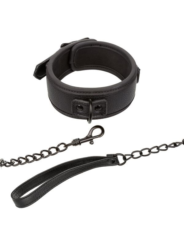 Nocturnal Collection Fetish Collar & Leash - - Collars and Leads