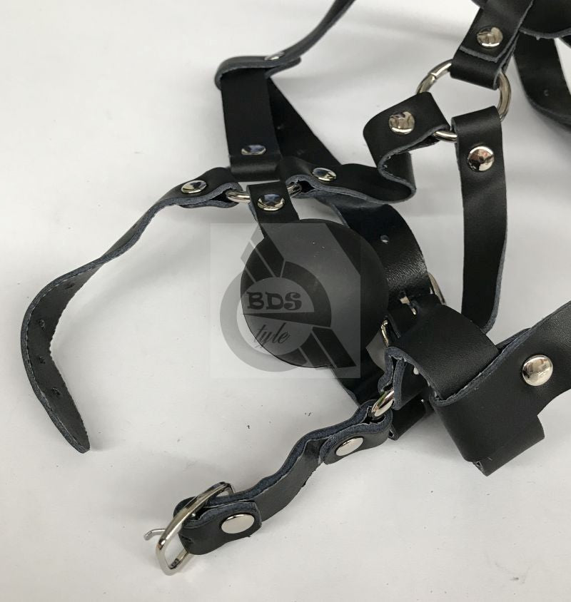 The Crucible Face Harness - - Remote Control Vibrators