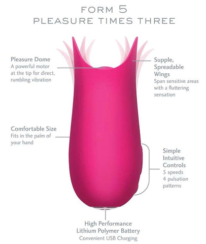 Jimmyjane Form 5 Waterproof Rechargeable Slate Love Egg - Love Eggs and Kegel Exercisers