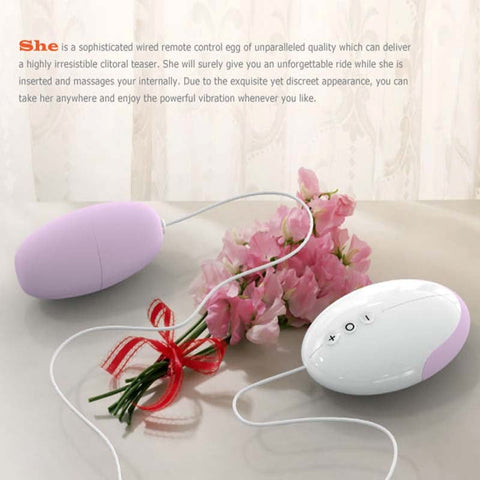 Wired Remote Control Egg Steel Pleasure Toy by Odeco - Steel Sex Toys
