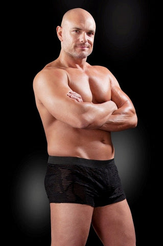 Fetish Fantasy Men's Fetish Play See-Thru Sexy Boxer - Mens Briefs And Boxers