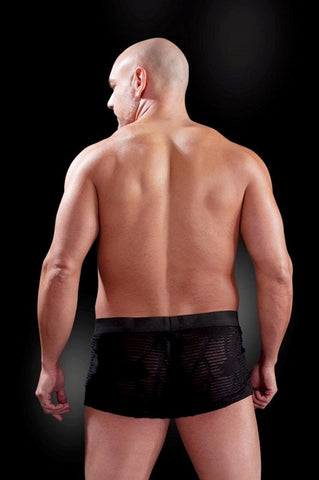 Fetish Fantasy Men's Fetish Play See-Thru Sexy Boxer - Mens Briefs And Boxers