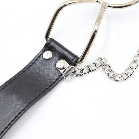 Spider Mouth Gags and Nipple Clamps by BDStyle - Breast and Nipple Toys