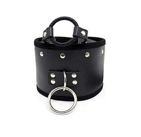 Posture Collar & O Ring Gag Light by BDStyle - Collars and Leads