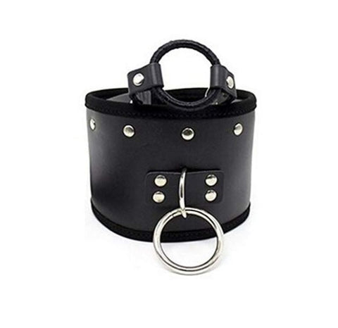 Posture Collar & O Ring Gag Light by BDStyle - Collars and Leads