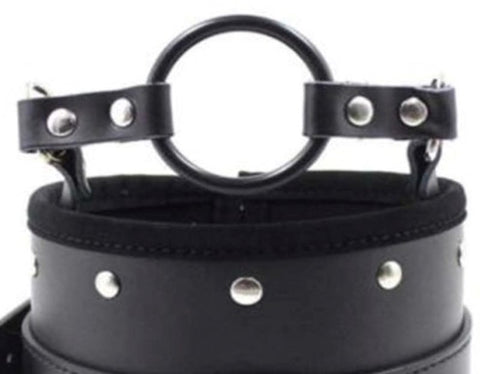 Posture Collar & O Ring Gag Light by BDStyle - Collars and Leads