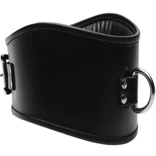 Sublime BDSM Play Posture Collar