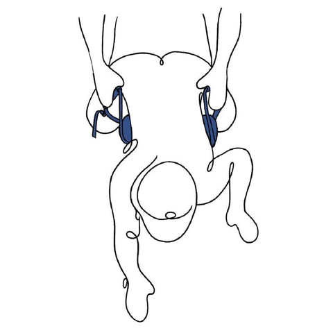 Pivot Deluxe Doggie Strap by Sportsheets - Sex Furniture