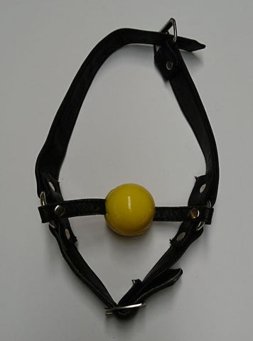 Ball Gag with Face Harness by Hell's Couture - Bondage Gags and Bits