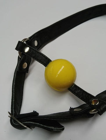 Ball Gag with Face Harness by Hell's Couture - Bondage Gags and Bits