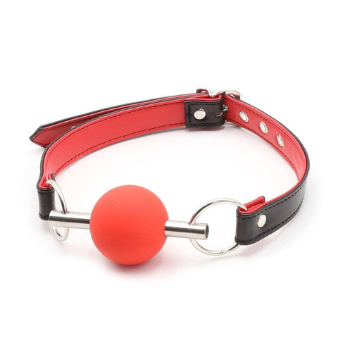 Metal Bar Silicone Ball Bondage Gag by BDStyle - Bondage Gags and Bits