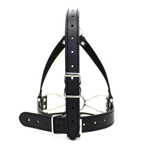 Spider Legs Mouth Gag with Harness by BDStyle - Bondage Gags and Bits