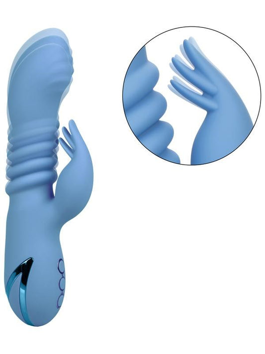 California Dreaming Santa Cruz Coaster Vibrator