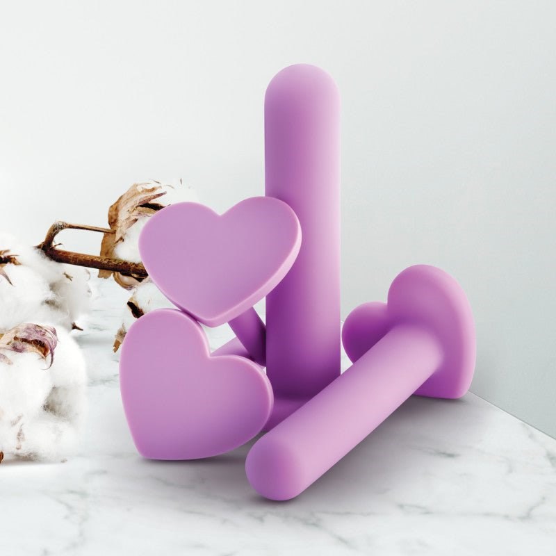 Blush Novelties Wellness Vaginal Dilators Set of 4 Sizes Purple - Pussy And Clit Toys