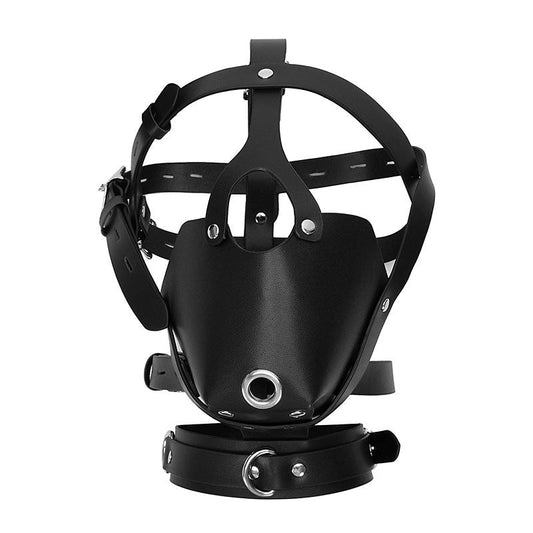 BDStyle Adjustable Buckle Black Leather Harness