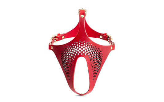 Daytona Ex Machina Genuine BDSM Play Leather Mask