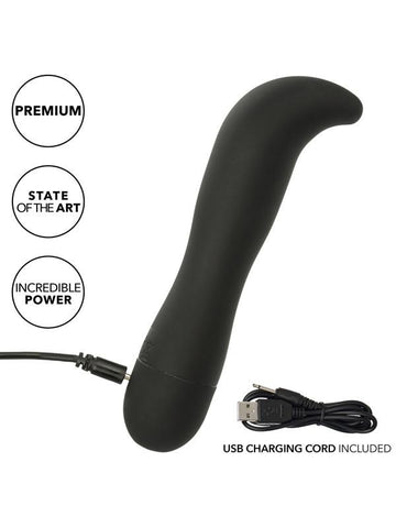 Dr. Joel Kaplan Rechargeable Prostate Probe - Prostate Toys
