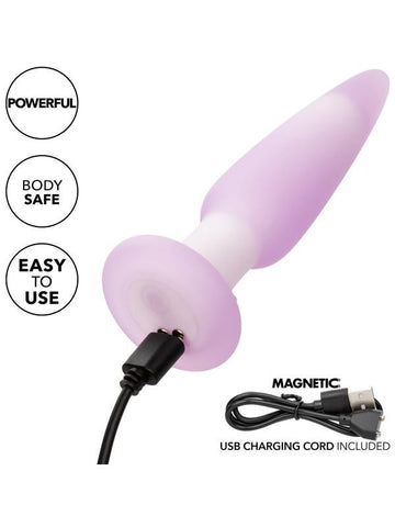 Lavender Haze Silicone Anal Probe by California Exotics - Butt Plugs