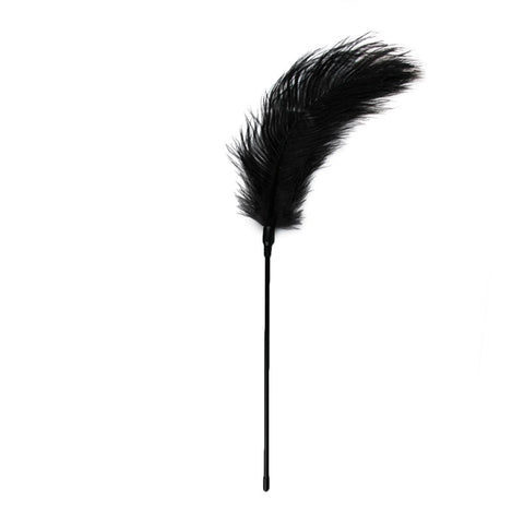 Bondage Play Feather Tickler by Easytoys - Ticklers