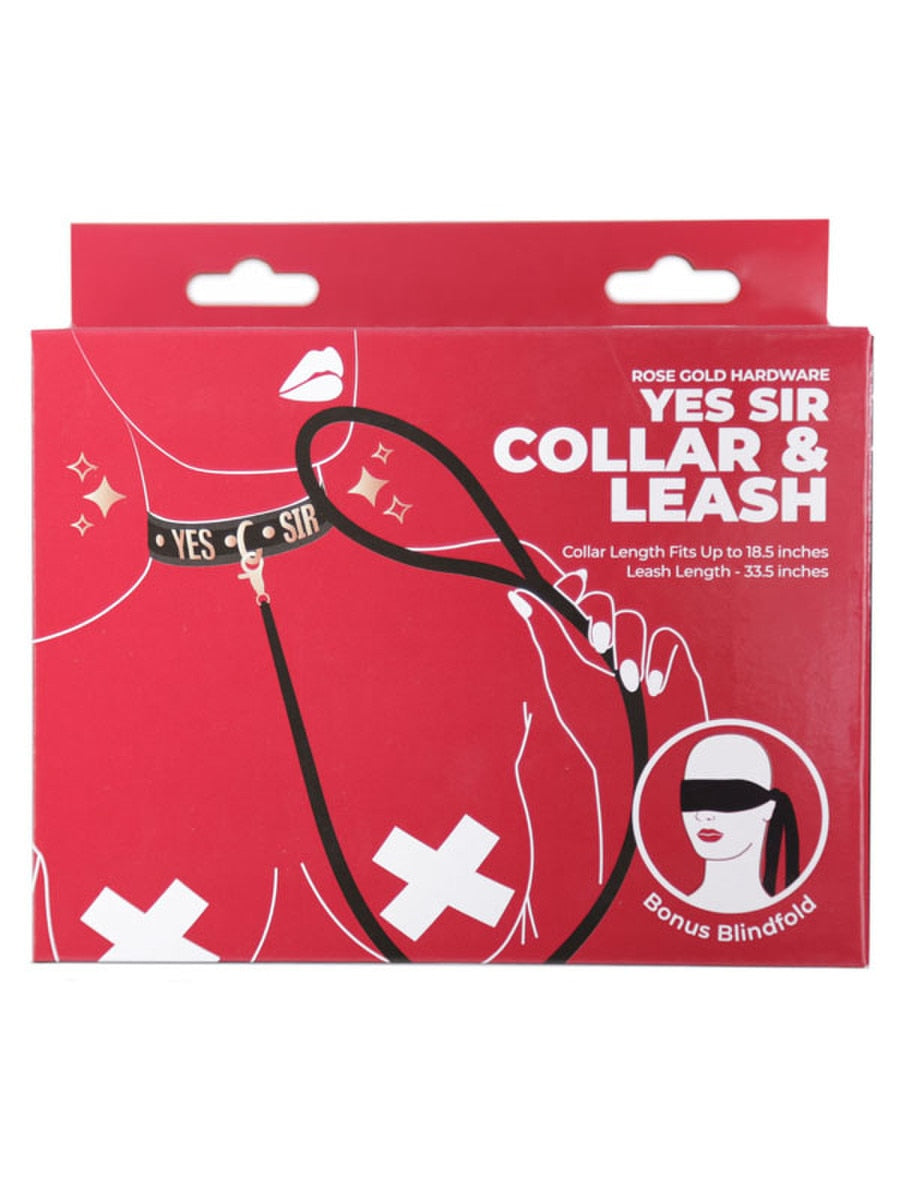 Punishment Rose Gold Yes Sir Collar and Leash by BMS Factory - Collars and Leads