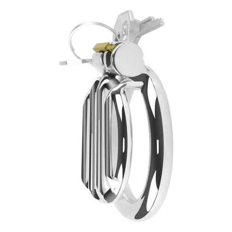 Plate Cage Male Chastity Device Large by BDStyle - Male Chastity
