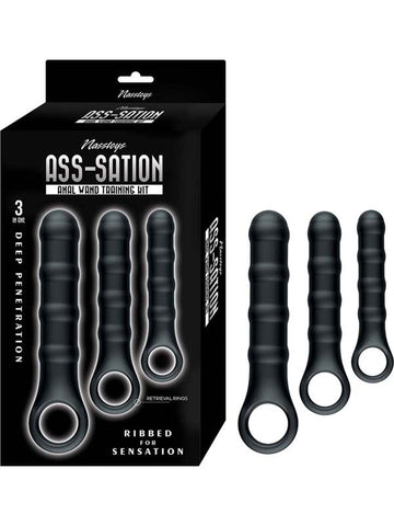 Ass-Sation Anal Wand Training Kit by Nasstoys - Sex Kits