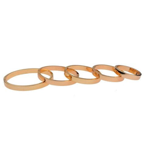 Delayed Ejaculation Male Metal Cock Ring by BDStyle - Steel Cock Rings