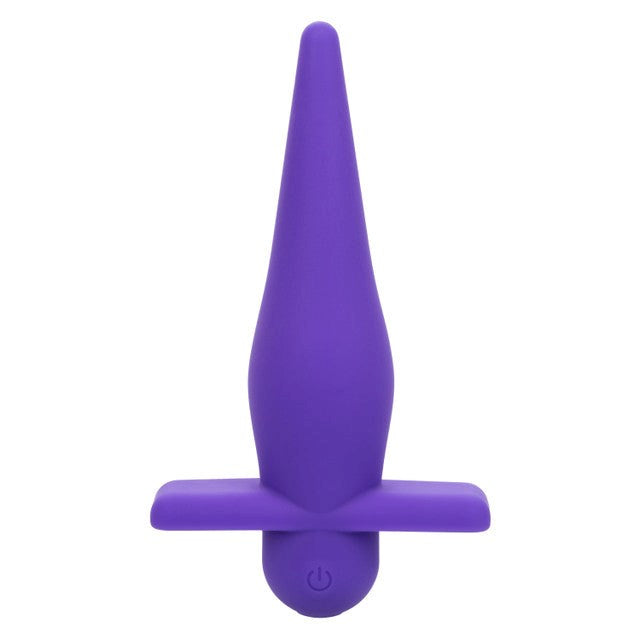 Rechargeable High Intensity Anal Probe by California Exotics - Anal Vibrators