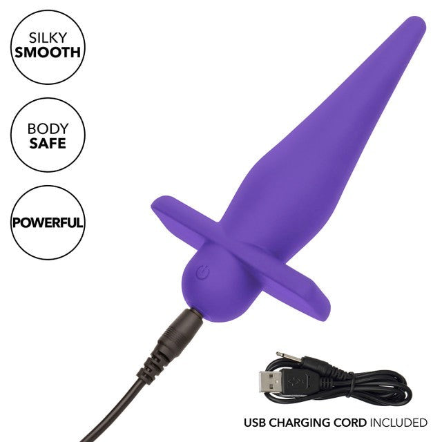 Rechargeable High Intensity Anal Probe by California Exotics - Anal Vibrators